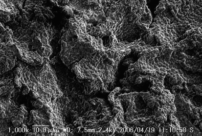 />Wet Blast Phosphating system/SEM Surface